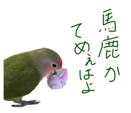 646065025