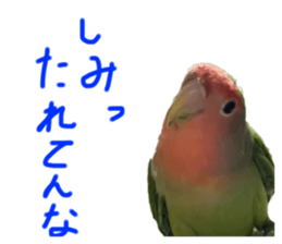 646065028