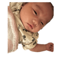 646080088