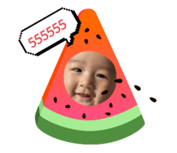 646081623