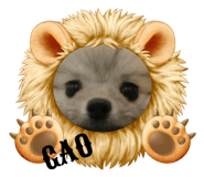 646091346
