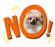 646091351