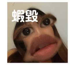 646112382