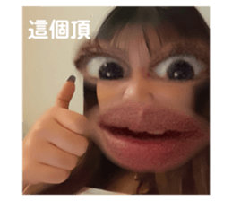 646112385