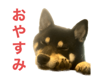 646131688