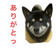 646131689