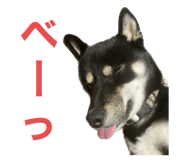646131692