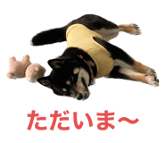646131699