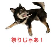 646131701