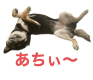 646131702