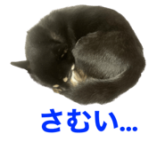 646131703
