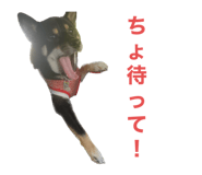 646131708