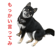 646131709