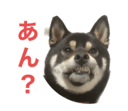 646131710