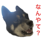 646131715
