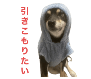 646131716