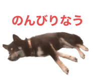646131717