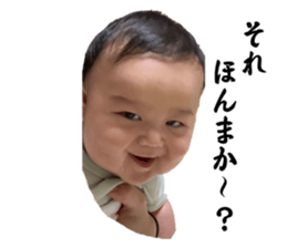 646146231