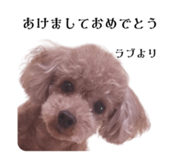 646150534
