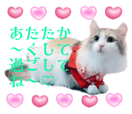 646150918