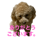 646154123