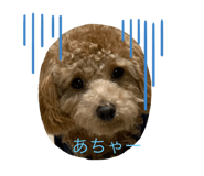 646154127