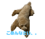 646154128