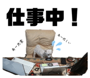 646155575