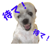 646155577