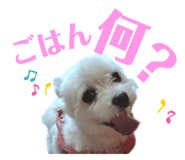 646155580