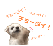 646155582