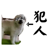 646155584