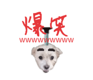 646155589