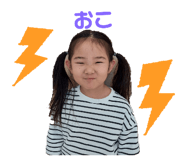 646155632
