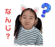 646155637