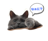 646157392