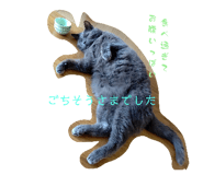 646157413