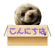 646161815