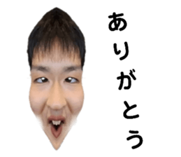 646162904