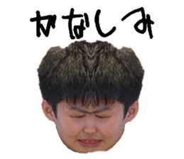 646162910
