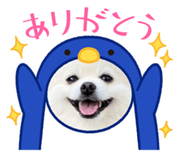 646164644