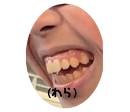 646172788