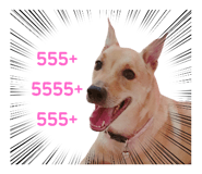 646216334