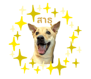 646216341