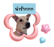 646216345