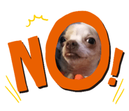 646216402