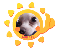 646216408