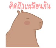 646217635