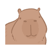 646217638