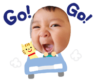 646223275